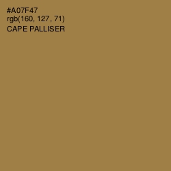 #A07F47 - Cape Palliser Color Image