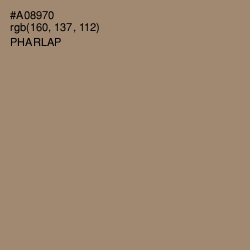 #A08970 - Pharlap Color Image