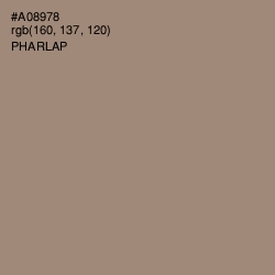 #A08978 - Pharlap Color Image