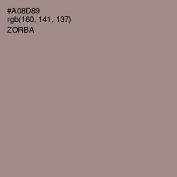 #A08D89 - Zorba Color Image