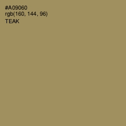 #A09060 - Teak Color Image