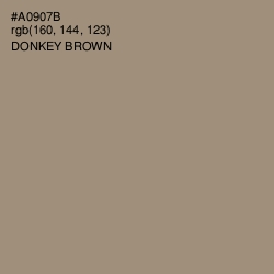 #A0907B - Donkey Brown Color Image
