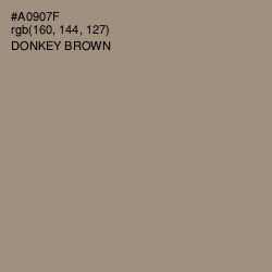 #A0907F - Donkey Brown Color Image