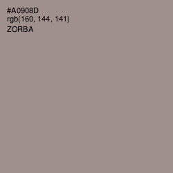 #A0908D - Zorba Color Image