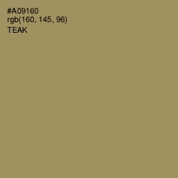 #A09160 - Teak Color Image
