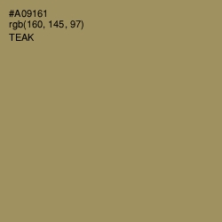 #A09161 - Teak Color Image