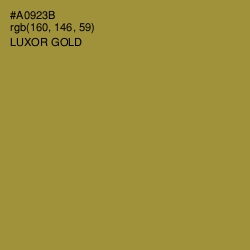 #A0923B - Luxor Gold Color Image