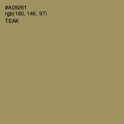 #A09261 - Teak Color Image