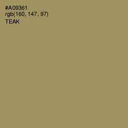 #A09361 - Teak Color Image