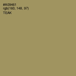 #A09461 - Teak Color Image