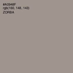 #A0948F - Zorba Color Image