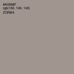 #A0958F - Zorba Color Image
