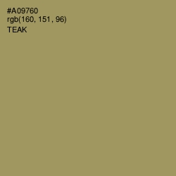 #A09760 - Teak Color Image