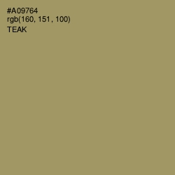 #A09764 - Teak Color Image