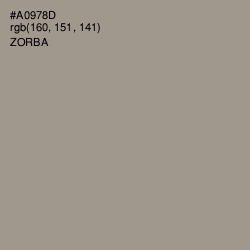 #A0978D - Zorba Color Image