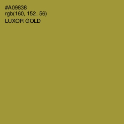 #A09838 - Luxor Gold Color Image