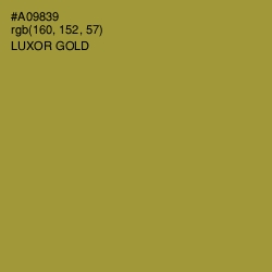 #A09839 - Luxor Gold Color Image