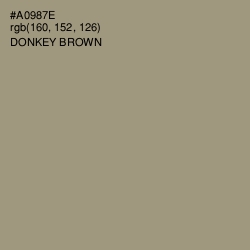 #A0987E - Donkey Brown Color Image