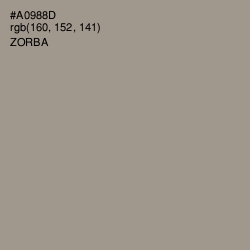 #A0988D - Zorba Color Image