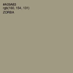 #A09A83 - Zorba Color Image