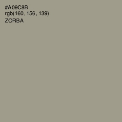 #A09C8B - Zorba Color Image