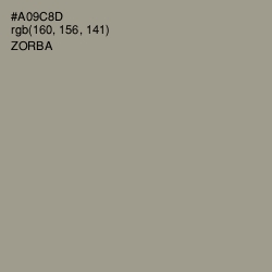 #A09C8D - Zorba Color Image