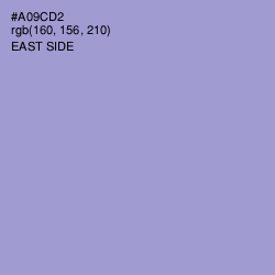 #A09CD2 - East Side Color Image