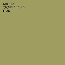 #A09D61 - Teak Color Image