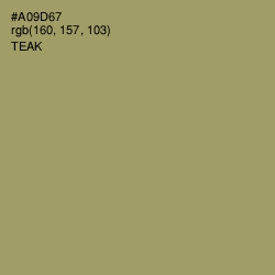 #A09D67 - Teak Color Image