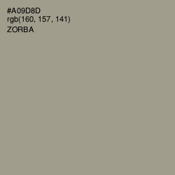 #A09D8D - Zorba Color Image