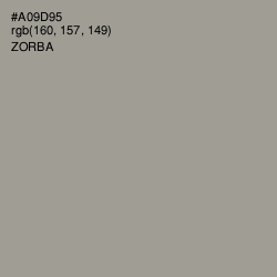 #A09D95 - Zorba Color Image