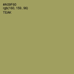 #A09F60 - Teak Color Image