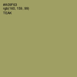 #A09F63 - Teak Color Image