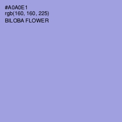 #A0A0E1 - Biloba Flower Color Image