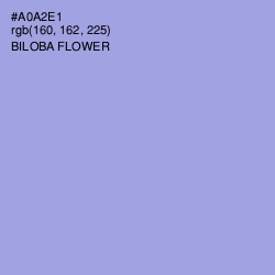 #A0A2E1 - Biloba Flower Color Image