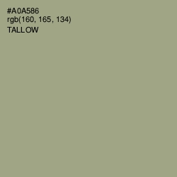 #A0A586 - Tallow Color Image