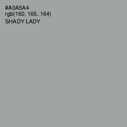 #A0A5A4 - Shady Lady Color Image