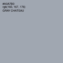 #A0A7B0 - Gray Chateau Color Image