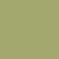 #A0A86B - Green Smoke Color Image