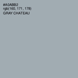 #A0ABB2 - Gray Chateau Color Image