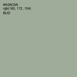 #A0AC9A - Bud Color Image