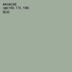 #A0AC9E - Bud Color Image