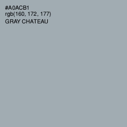#A0ACB1 - Gray Chateau Color Image