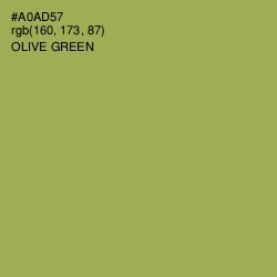 #A0AD57 - Olive Green Color Image