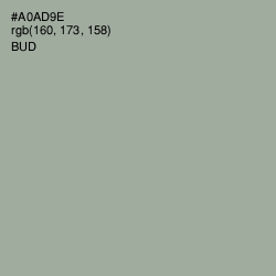 #A0AD9E - Bud Color Image