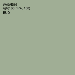 #A0AE96 - Bud Color Image