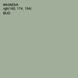 #A0AE9A - Bud Color Image