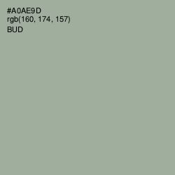 #A0AE9D - Bud Color Image