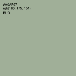 #A0AF97 - Bud Color Image