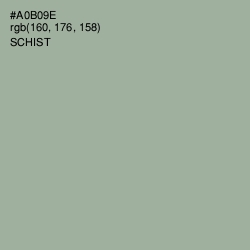 #A0B09E - Schist Color Image